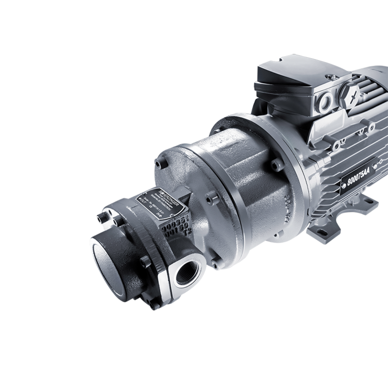 Detailaufnahme einer Grauguss-Pumpe der Firma Scherzinger Pumpen aus Furtwangen.